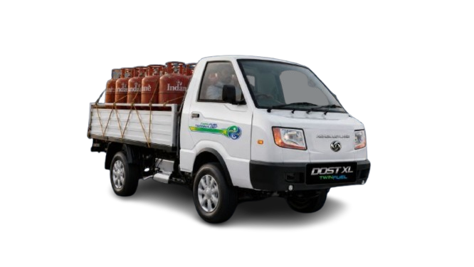 Dost XL